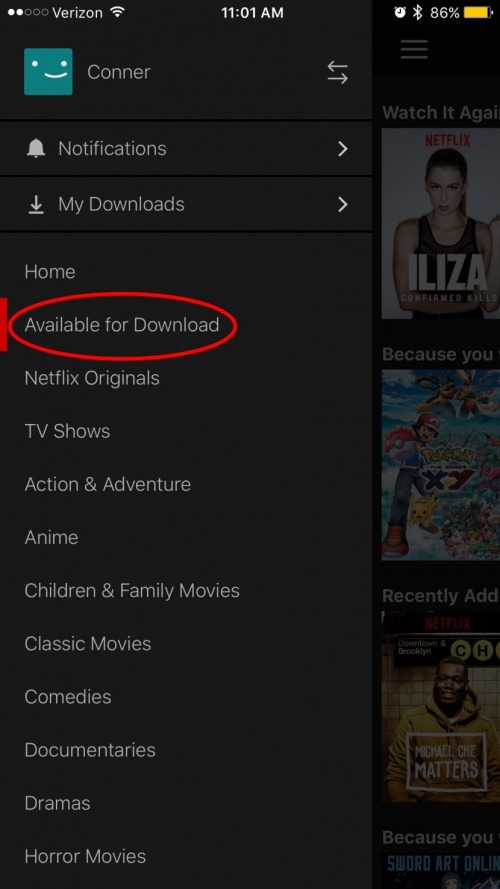 ver netflix sin internet