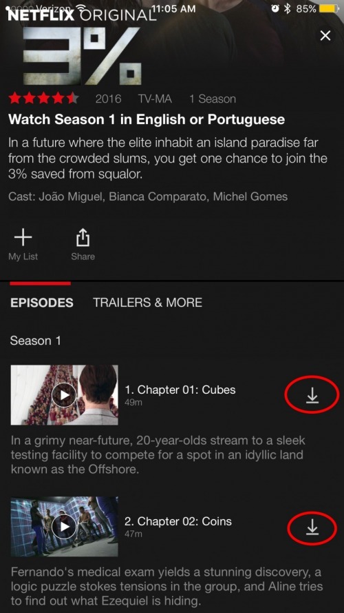 cómo descargar películas para ver Netflix sin conexión