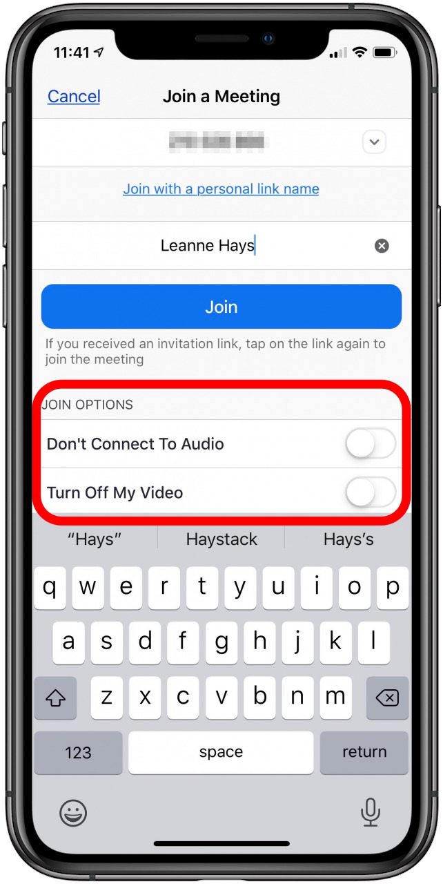 apagar el zoom de audio y video