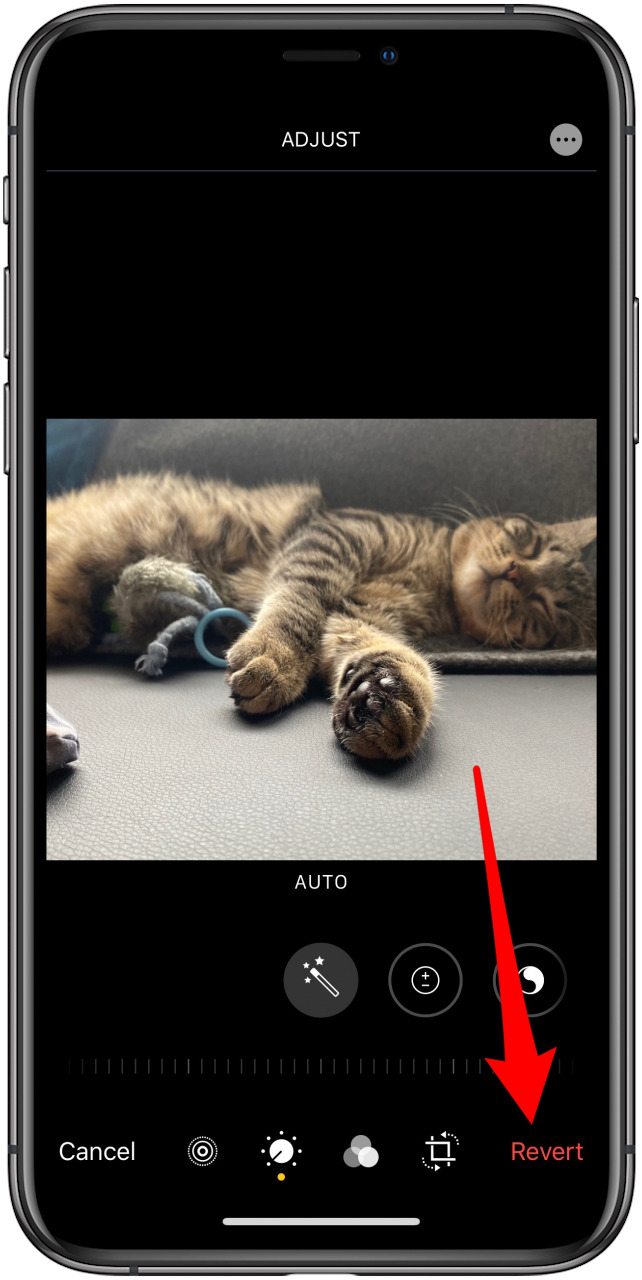 la forma más rápida de recortar fotos en el iPhone
