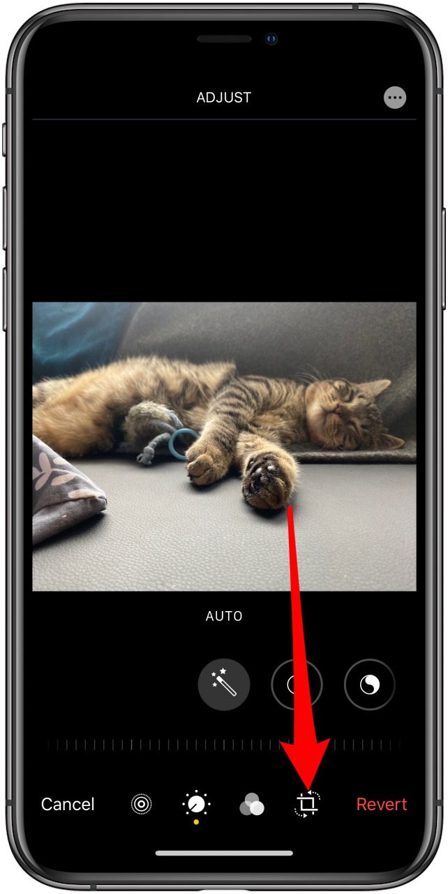 cómo recortar fotos en el iPhone