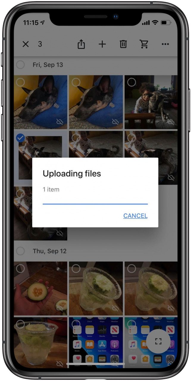 save pictures to google photos