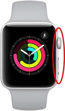reiniciar Apple Watch