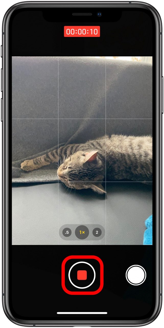Cómo tomar un video en el iPhone desde el modo Foto