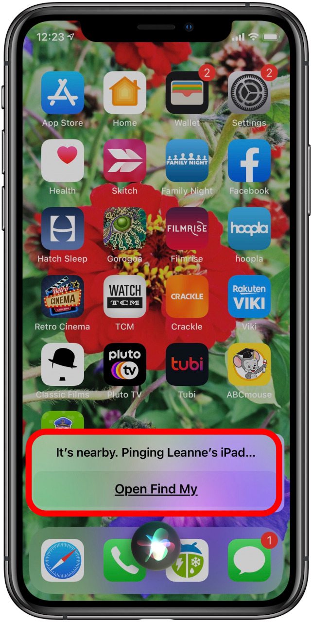iphone haciendo ping ipad