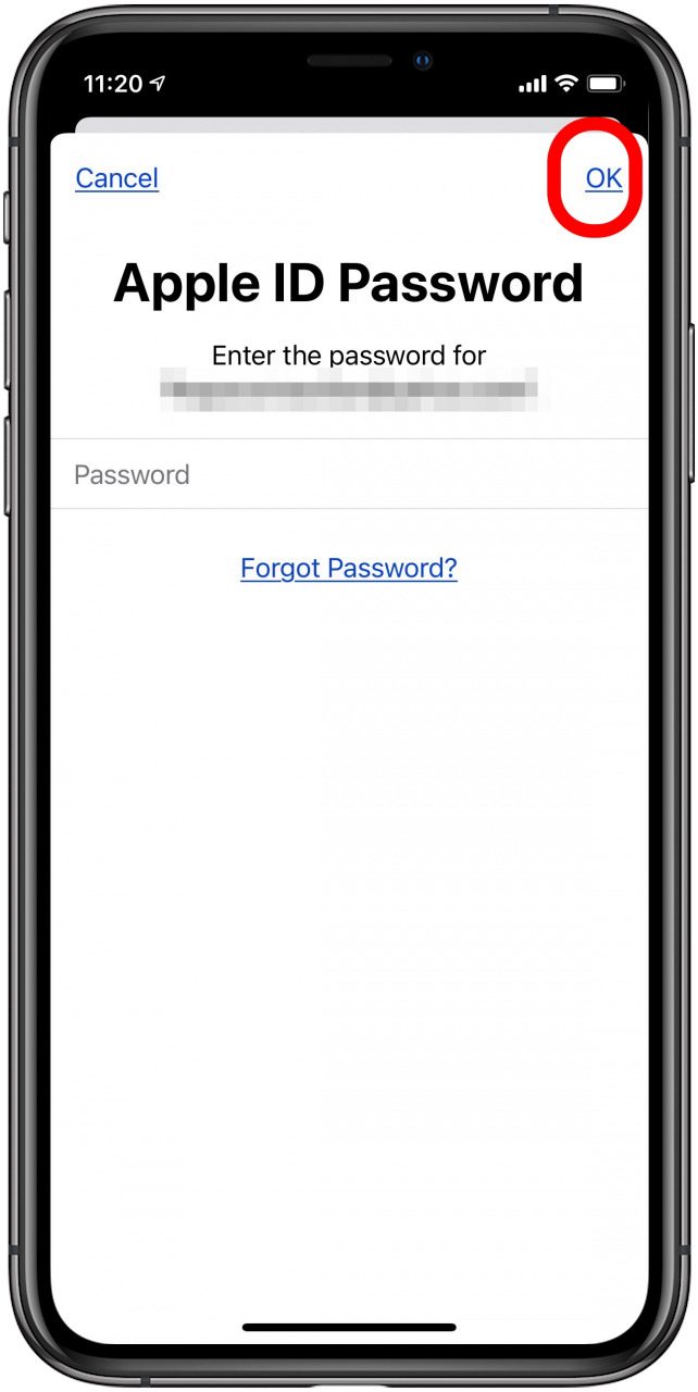 ingrese su contraseña de identificación de Apple