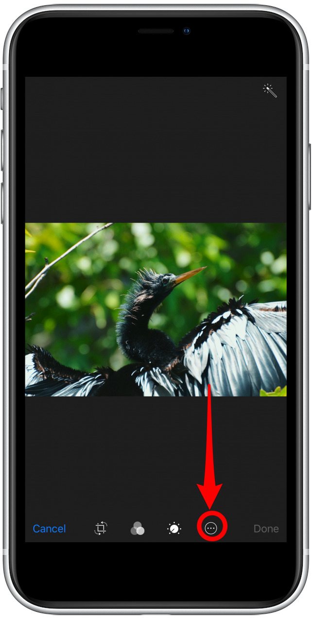 aplicación de fotos editar la pantalla de fotos con la opción más resaltada