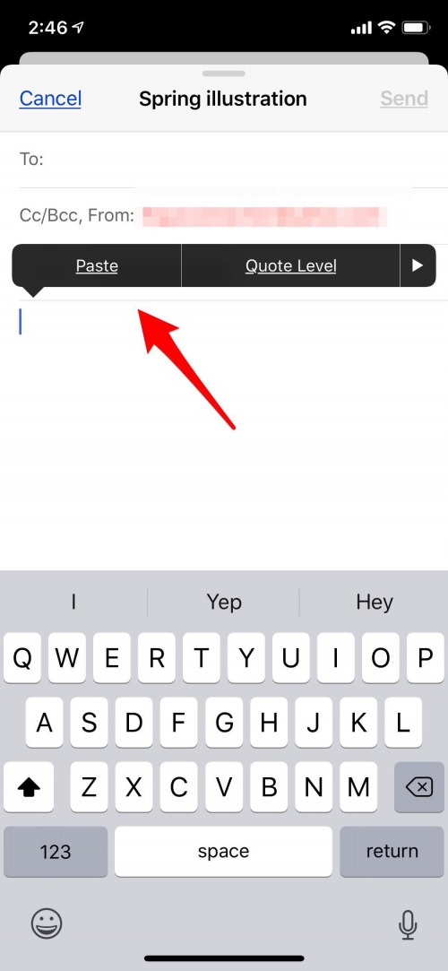 copy and paste picture in email