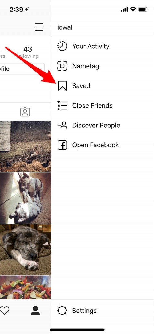 insta bookmark section