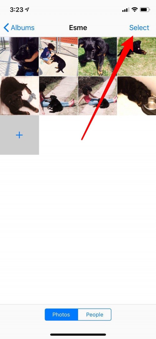 pick images to save from shared album