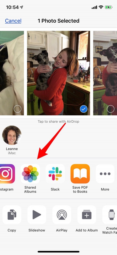 shared albums on iphone