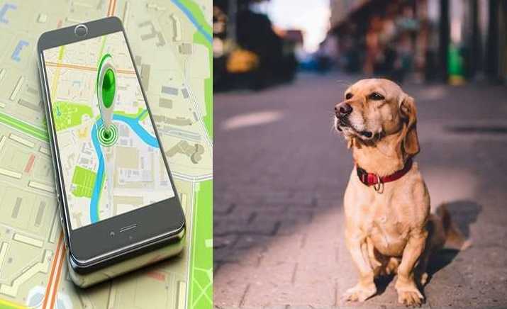 Seguimiento GPS de mascotas